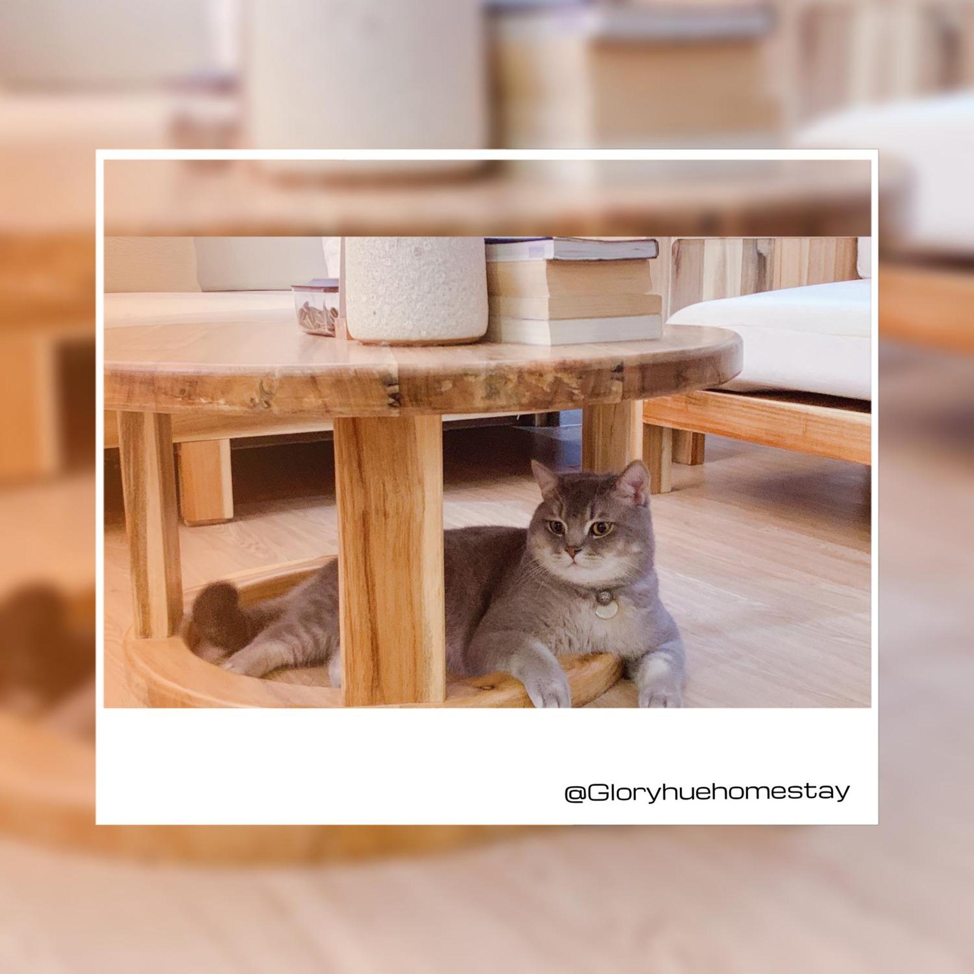Glory Hue Homestay ภายนอก รูปภาพ