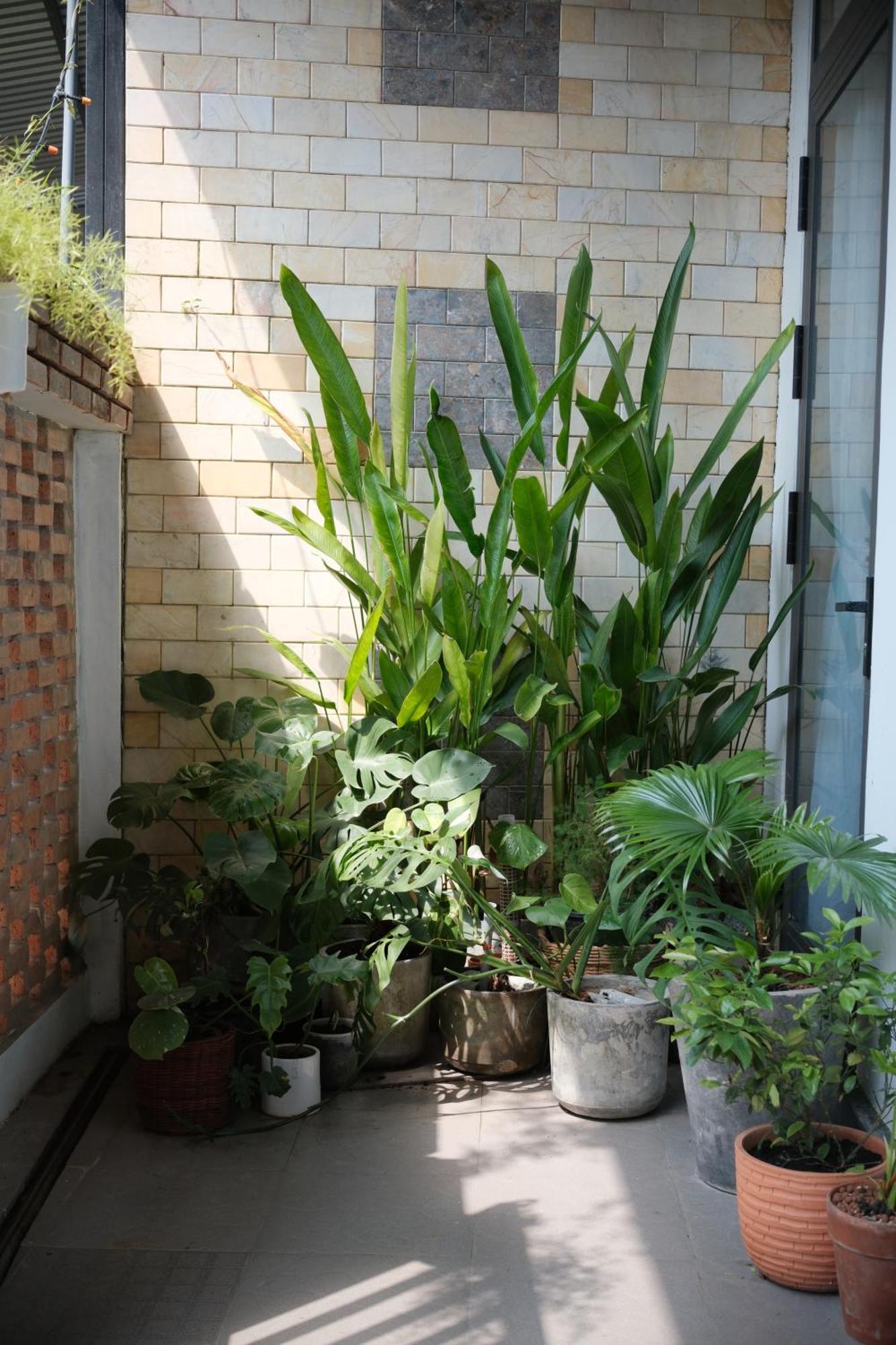 Glory Hue Homestay ภายนอก รูปภาพ